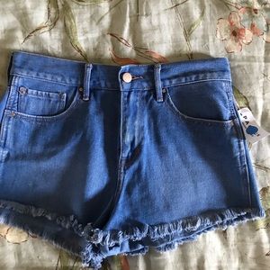 Never Worn Bullhead Shorts!